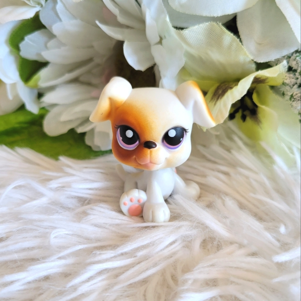 Littlest Pet Shop LPS #84 White Boxer Dog Brown Purple Eyes Puppy Hasbro B